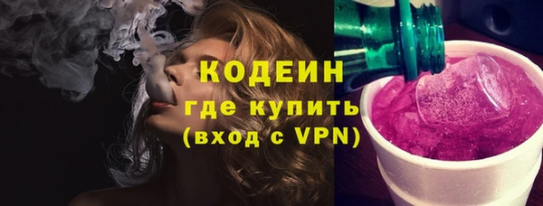 индика Арсеньев