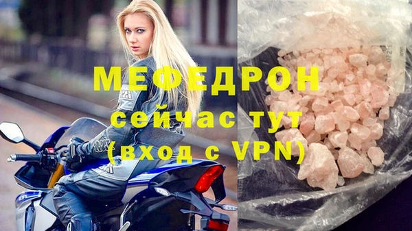 индика Арсеньев