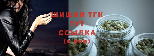 твердый Аркадак