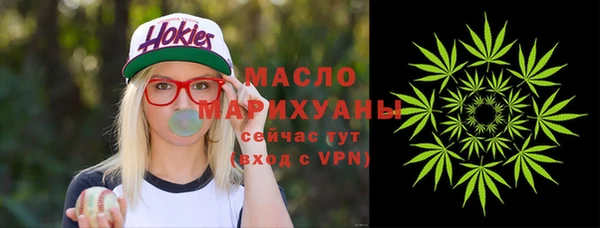 индика Арсеньев