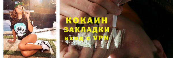 твердый Аркадак