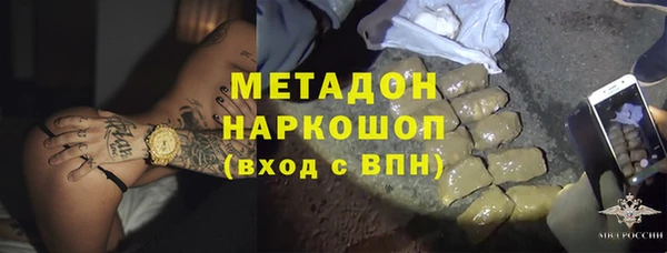 индика Арсеньев