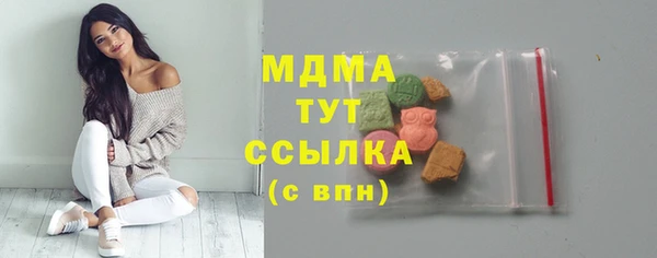 индика Арсеньев