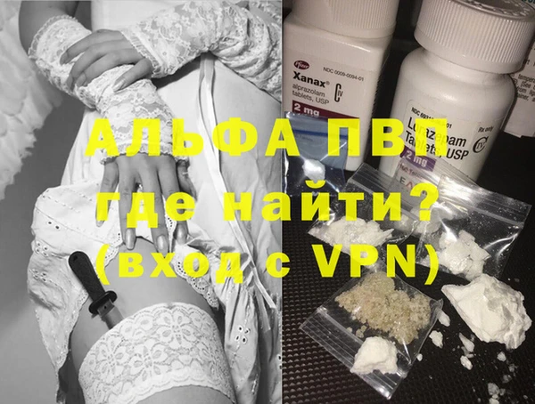 индика Арсеньев