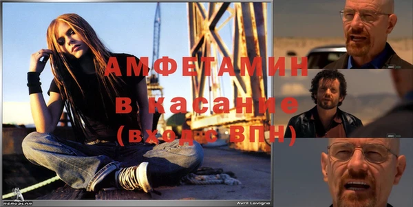 твердый Аркадак