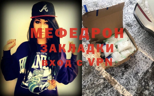 индика Арсеньев