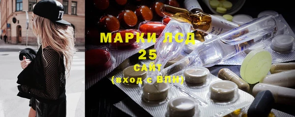 индика Арсеньев