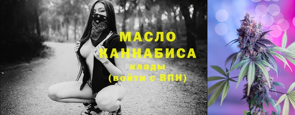 индика Арсеньев