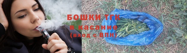 индика Арсеньев